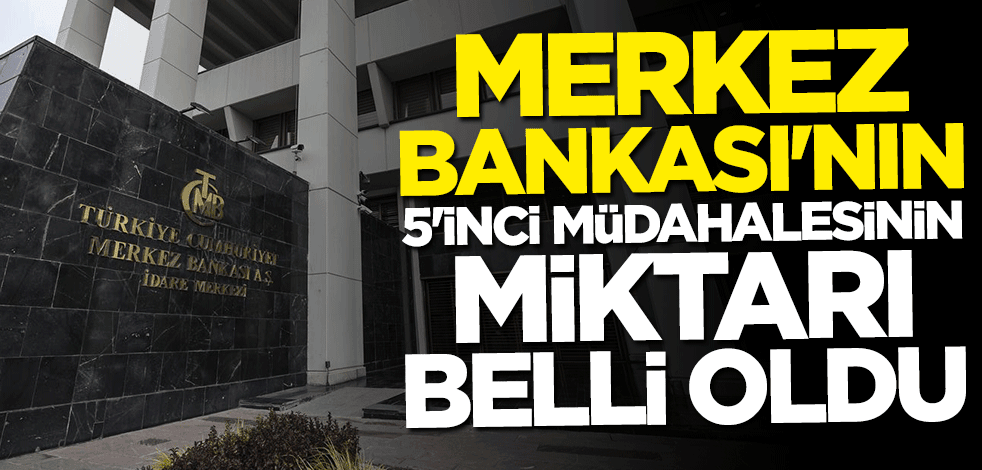 Merkez Bankası'nın dolara 5. müdahalesinin miktarı belli oldu