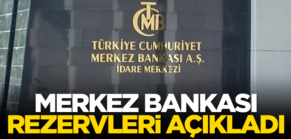 Merkez Bankası'nın rezervleri bir önceki aya göre yüzde 3 arttı
