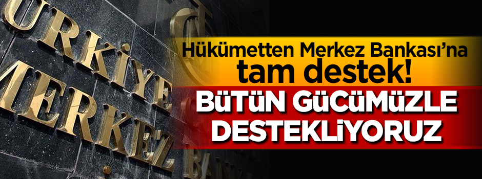 Merkez'in kararına hükümetten ilk yorum