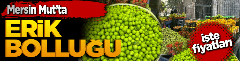 Mersin Mut’ta Erik Bolluğu: Fiyatlar 30 TL’den 170 TL’ye Kadar Değişiyor