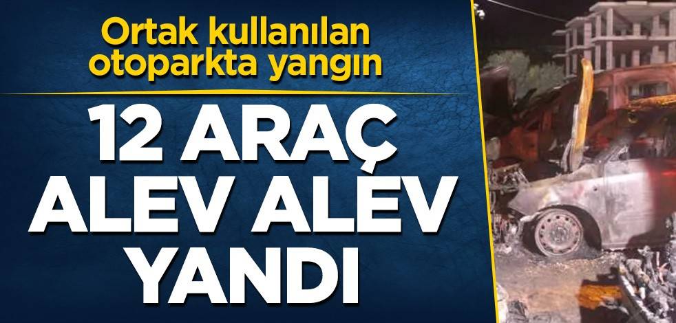 Mersin'de 12 araç alev alev yandı