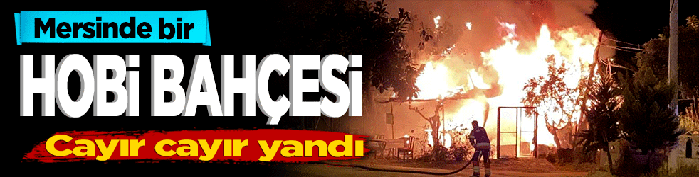 Mersinde bir Hobi bahçesi cayır cayır yandı