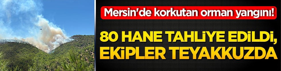 Mersin'de korkutan orman yangını! 80 hane tahliye edildi, ekipler teyakkuzda!