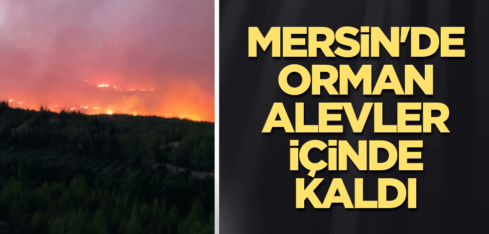 Mersin'de orman alevler içinde kaldı