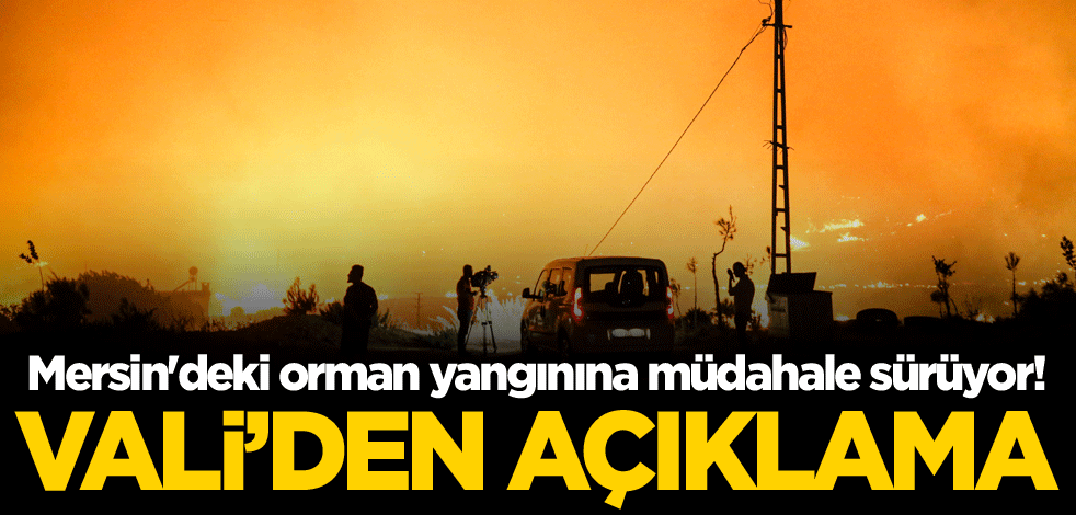Mersin'deki orman yangınına müdahale sürüyor! Vali'den açıklama