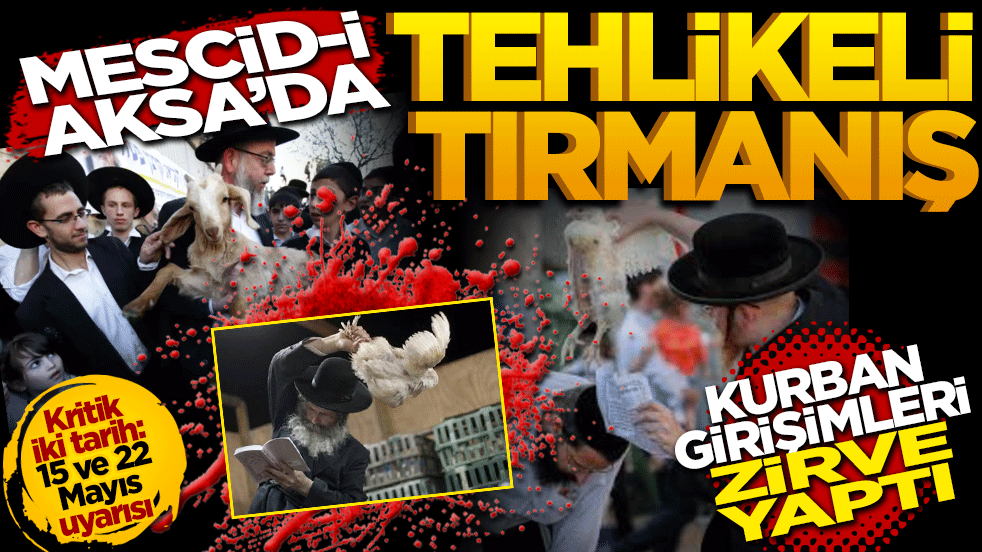 Mescid-i Aksa'da tehlikeli tırmanış: Kurban girişimleri zirve yaptı