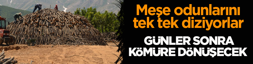 Meşe odunlarını tek tek diziyorlar! Günler sonra kömüre dönüşecek 