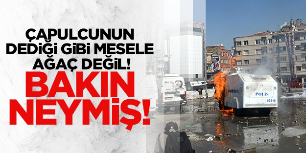 Mesele ağaç değil, darbeymiş