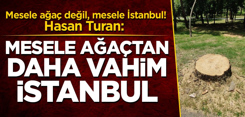 Mesele ağaç değil, mesele İstanbul! Hasan Turan: Mesele ağaçtan daha vahim İstanbul