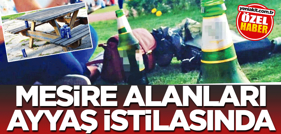 Mesire alanları ayyaş istilasında