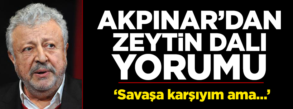 Metin Akpınar'dan Zeytin Dalı harekatına destek