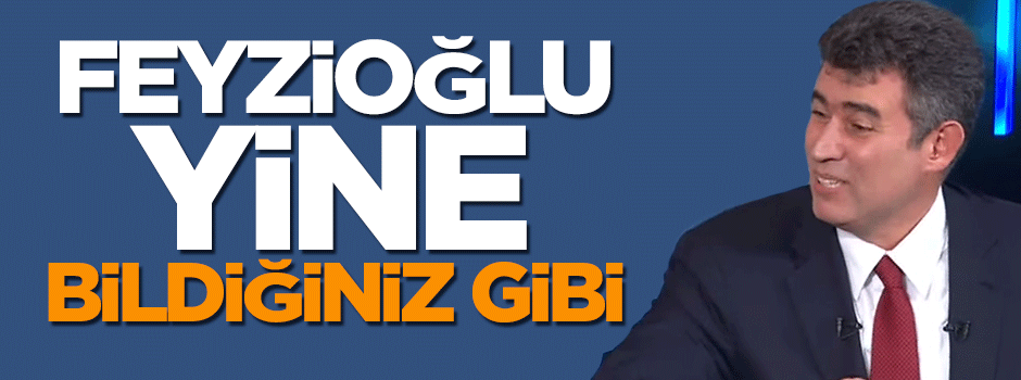 Metin Feyzioğlu, yine karşı çıktı
