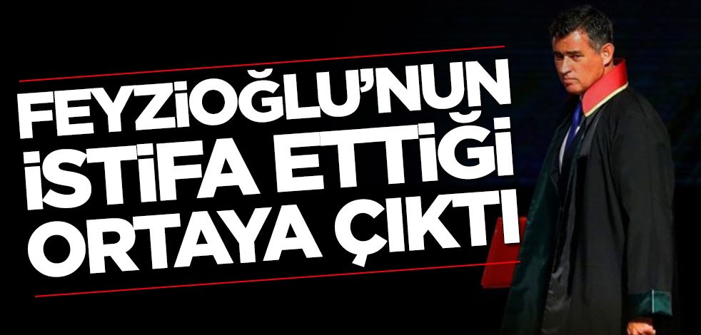 Metin Feyzioğlu'nun istifa ettiği ortaya çıktı