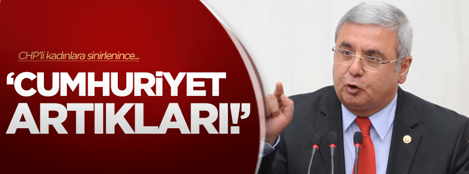 Metiner CHP'li kadınlara bağırdı: 'Cumhuriyet artıkları!'
