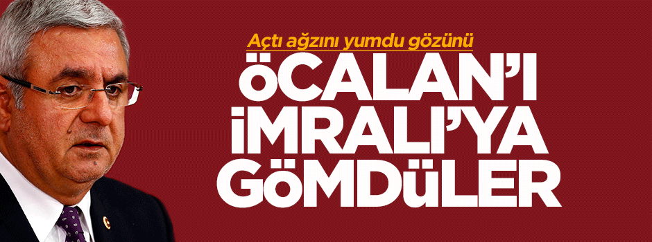 Metiner: Öcalan'ı İmralı'ya gömdüler