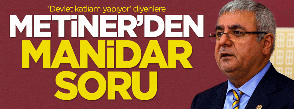 Metiner'den manidar soru