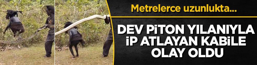 Metrelerce uzunlukta... Dev piton yılanıyla ip atlayan kabile olay oldu