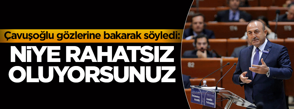 Mevlüt Çavuşoğlu AB'ye FETÖ'yü anlattı