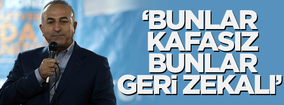 Mevlüt Çavuşoğlu: Seçmene eskiden hakaret ederlerdi