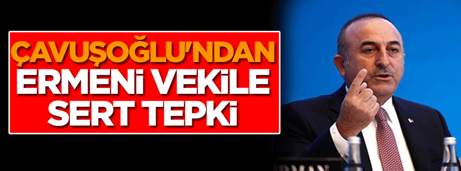 Mevlüt Çavuşoğlu'ndan Ermeni milletvekiline sert tepki