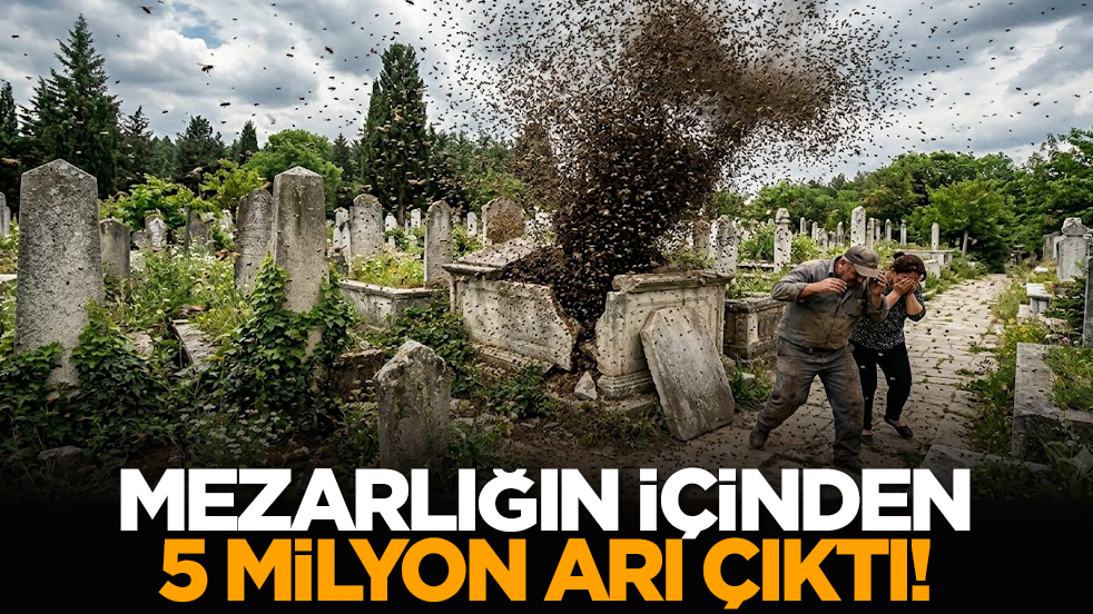 Mezarlığın içinden 5 milyon arı çıktı!