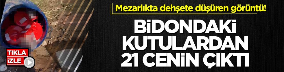 Mezarlıkta dehşete düşüren görüntü! Bidondaki kutulardan 21 cenin çıktı
