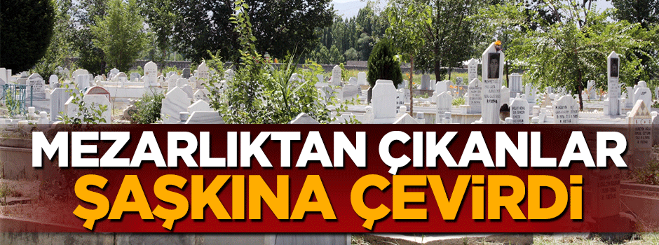 Mezarlıktan çıkanlar şaşkına çevirdi