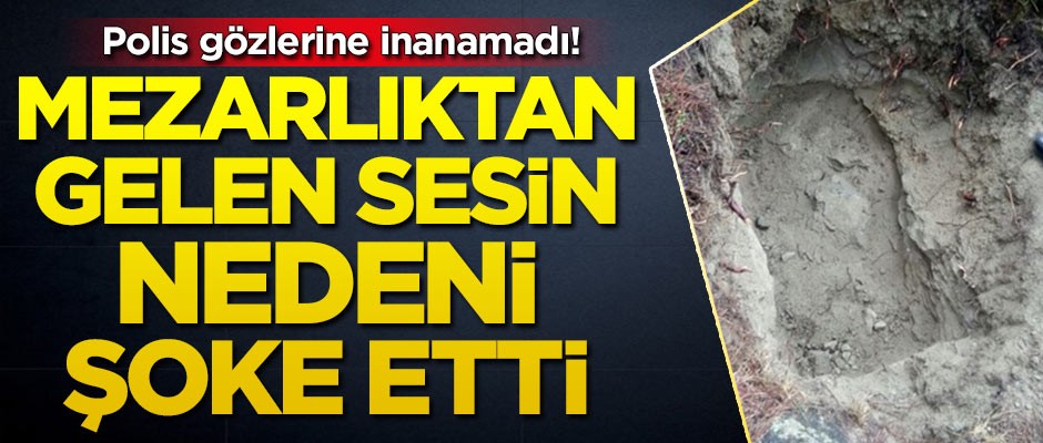 Mezarlıktan gelen sesin nedeni şoke etti