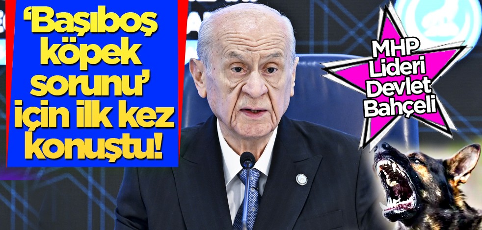 MHP lideri Devlet Bahçeli'den sokak köpekleri açıklaması! Ankara’da Bahçeli'den yanıt geldi