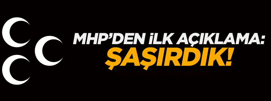 MHP'den Akşener ve Türkeş açıklaması