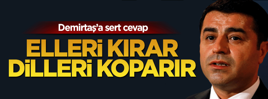MHP'den Demirtaş'a "Çin malı çakma milliyetçi" cevabı