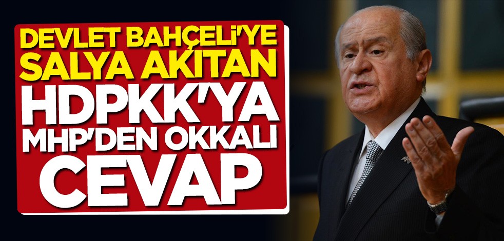 MHP'den Devlet Bahçeli'yi hedef alan terör partisi HDP'ye tokat gibi cevap