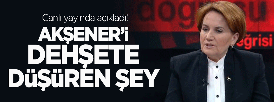 MHP'li Meral Akşener'i dehşete düşüren şey