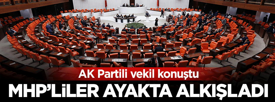 MHP'liler AK Partili vekili ayakta alkışladı