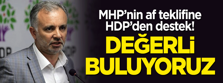 MHP'nin af teklifine HDP'den destek: Değerli buluyoruz