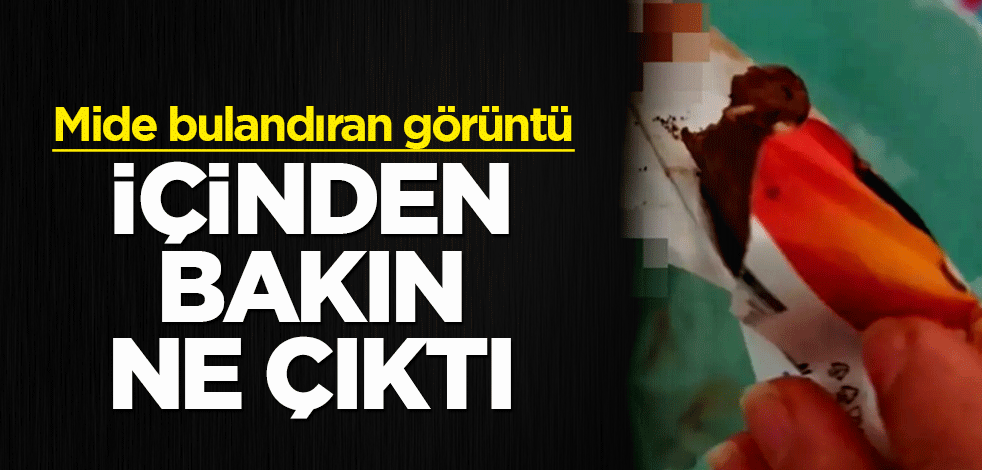 Mide bulandıran görüntü! İçinden bakın ne çıktı