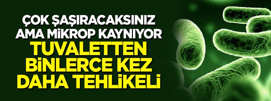 Mikrop kaynıyor! Tuvaletlerden daha tehlikeli