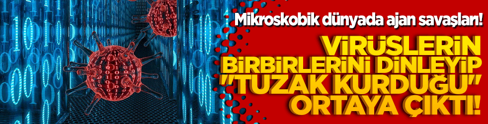 Virüslerin birbirlerini dinleyip 
