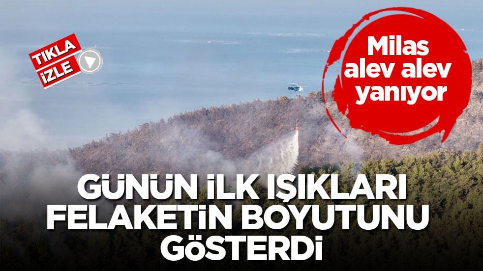 Milas alev alev yanıyor! Günün ilk ışıkları felaketin boyutunu gösterdi