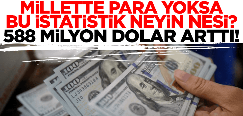 Millette para yoksa bu istatistik neyin nesi? Döviz mevduatı 588 milyon dolar arttı