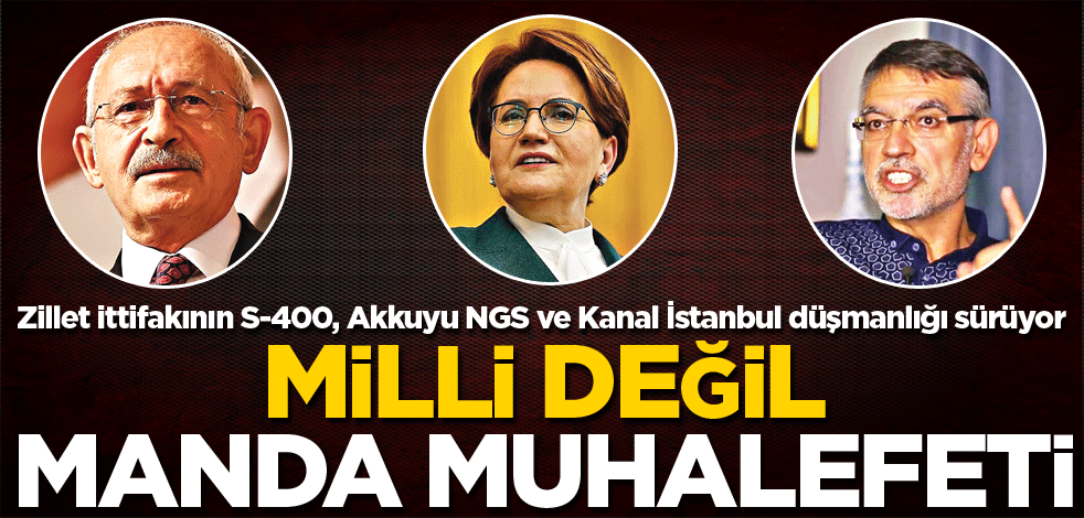 Milli değil manda muhalefeti