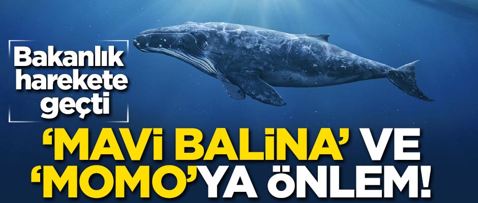 Milli Eğitim Bakanlığı harekete geçti! 'Mavi Balina' ve 'Momo' önlemi
