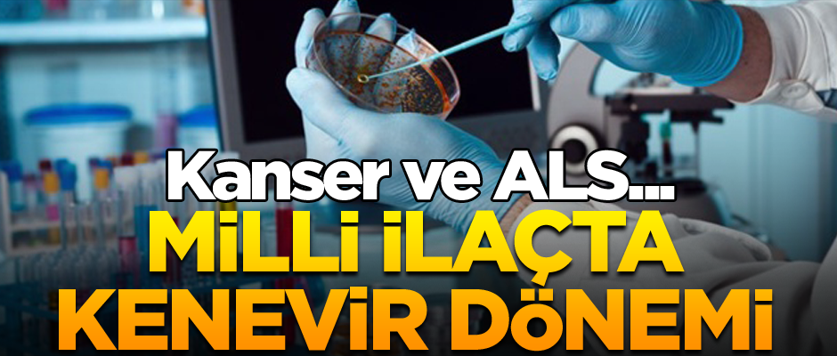 Milli ilaçta kenevir dönemi... Kanser ve ALS...