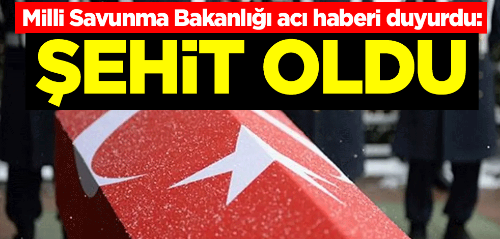 Milli Savunma Bakanlığı acı haberi duyurdu: Şehit oldu