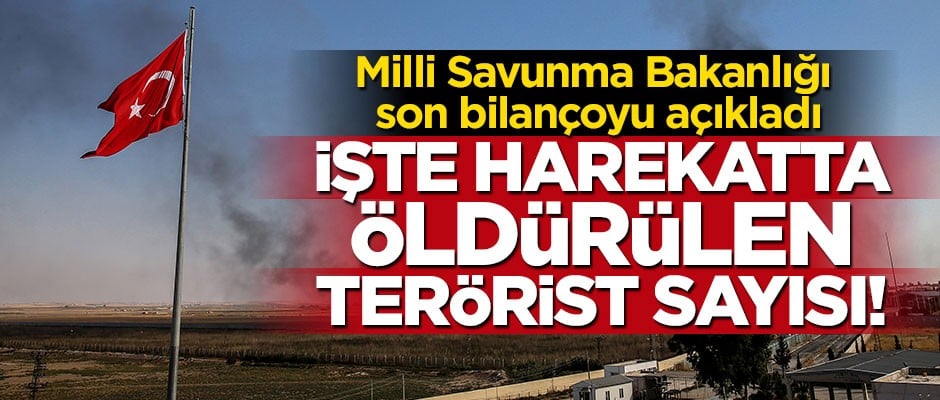 Milli Savunma Bakanlığı açıkladı: 399 terörist etkisiz hale getirildi