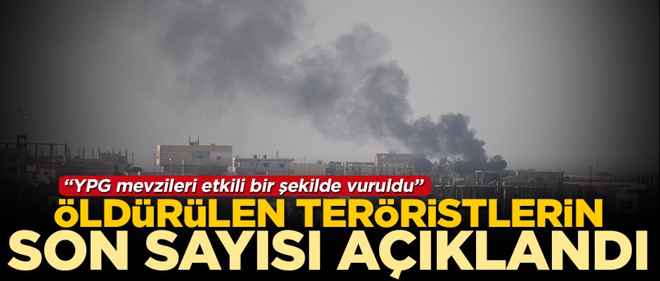 Milli Savunma Bakanlığı, Barış Pınarı Harekatı'nda öldürülen teröristlerin son sayısını açıkladı
