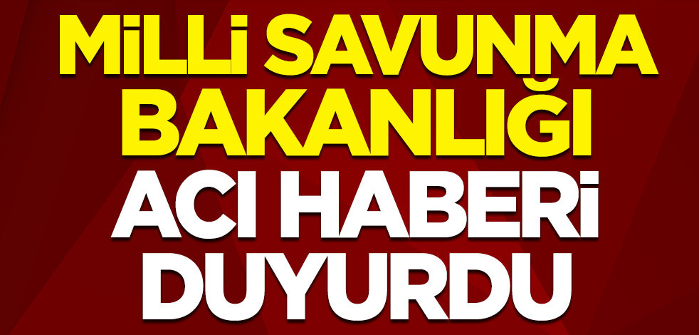 Milli Savunma Bakanlığı duyurdu! Hakkari'den acı haber