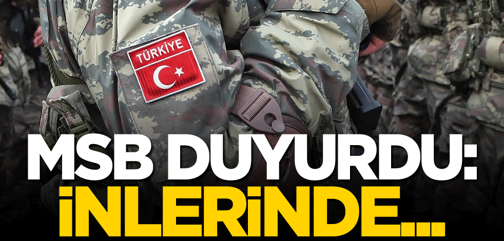 Milli Savunma Bakanlığı duyurdu: İnlerinde...