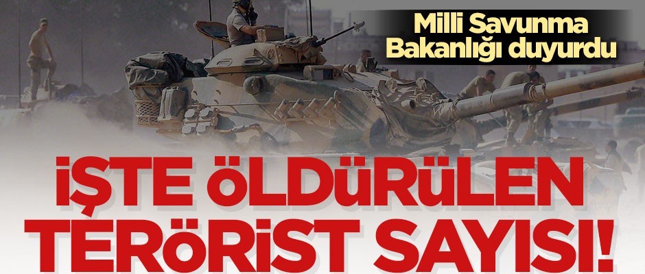 Milli Savunma Bakanlığı duyurdu! İşte öldürülen terörist sayısı...