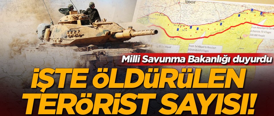Milli Savunma Bakanlığı duyurdu! İşte öldürülen terörist sayısı